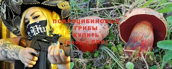 крисы Беломорск