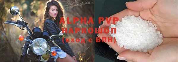 шишки Белокуриха
