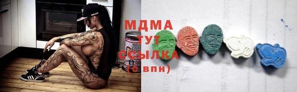 шишки Белокуриха