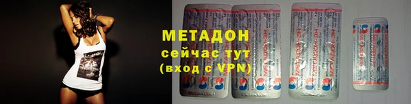 шишки Белокуриха