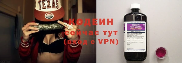 шишки Белокуриха