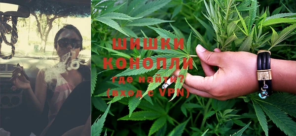 шишки Богданович