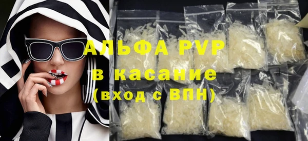 шишки Белокуриха