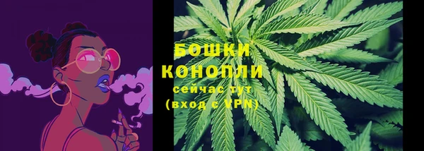 шишки Белокуриха