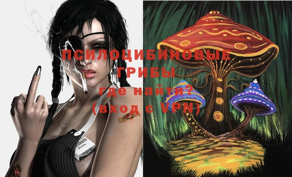 шишки Белокуриха
