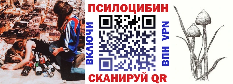 Галлюциногенные грибы мицелий  цены наркотик  Новороссийск 