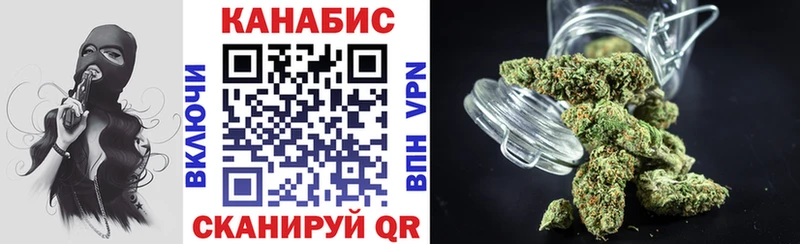Шишки марихуана план где купить наркоту Новороссийск